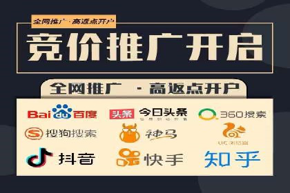 百度竞价排名服务：实战案例解析与优化技巧